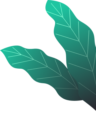 ixaya