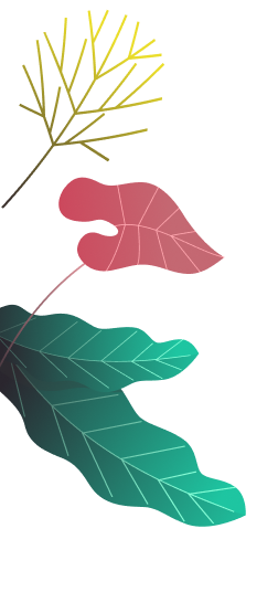 ixaya