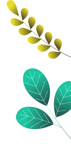 ixaya