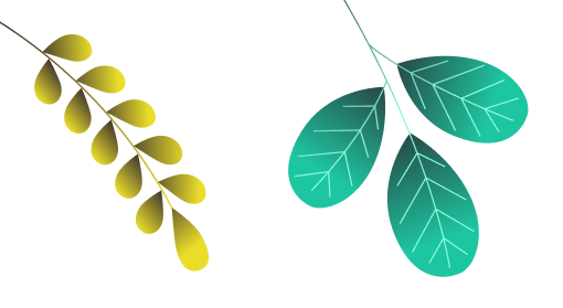 ixaya