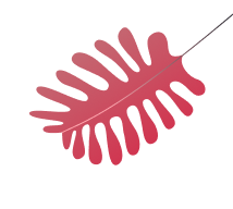 ixaya