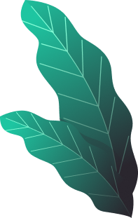 ixaya