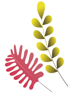 ixaya