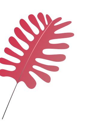 ixaya