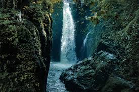 Imagen de Ida a Cascada Tamanique